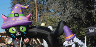 Photo story: Candy Crawl