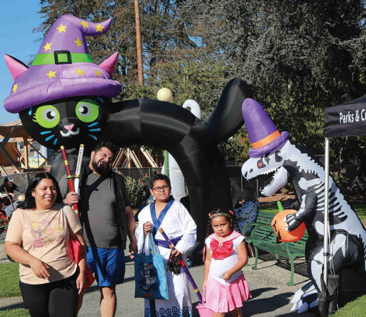 Photo story: Candy Crawl