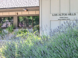 LAH council discussing Green Sheets ballot initiative Thursday