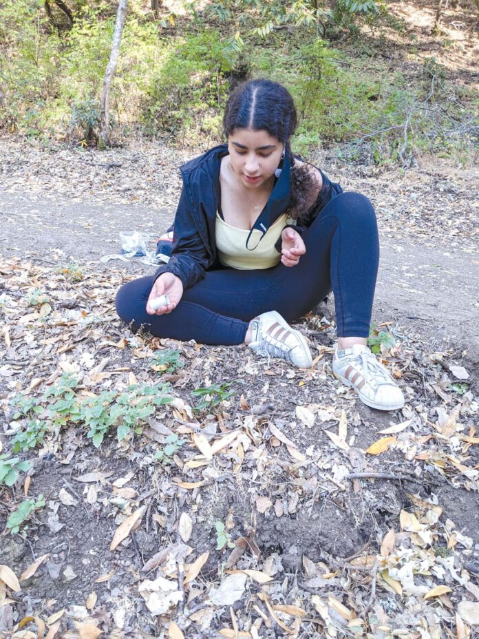 Farida Abdelhak spent a month studying invasive species in Byrne Preserve this summer.