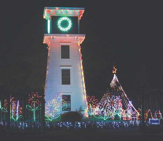 Young artists needed for holiday lights display Rogers House christmas lights