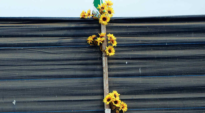 baby angelita altar